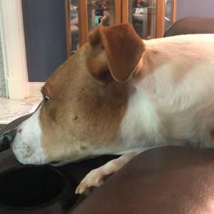 Meet your Posher, Bethany